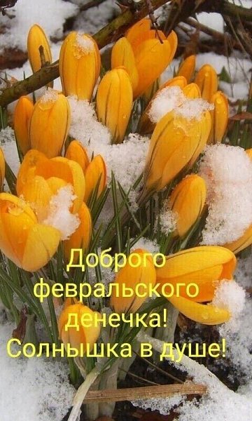 ₪╬═►  ||  ||  ◄═╬₪ - 21  2024  07:14