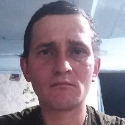 �������, ������, 37 ���