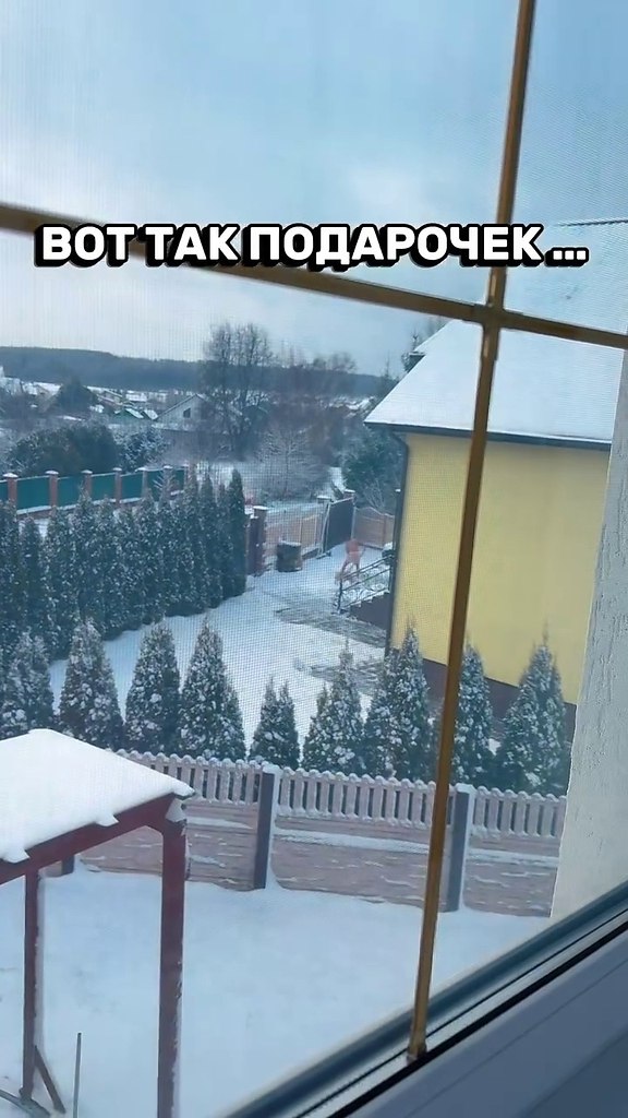 ��� ��� ��������� - 2