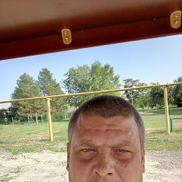 ������, 39 ���, ������