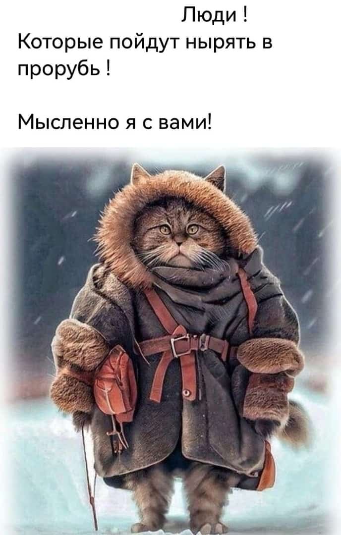  - 19  2024  14:14