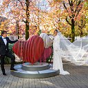 ���� �������, ���� - ��������� 24 ������� 2025 � ������ ������ ��������