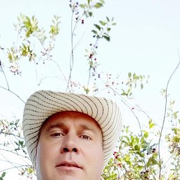 , 50 , 