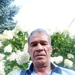 , 67, 