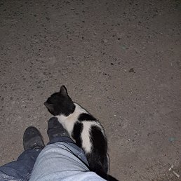 ���� ����, ����, 44 ���� - ��������� 27 ������ 2024