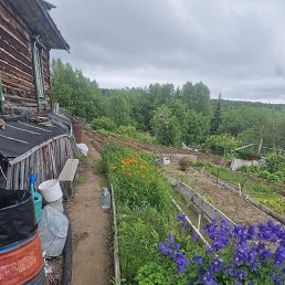 ���� Revaz, �����, 41 ��� - ��������� 23 ������� 2025