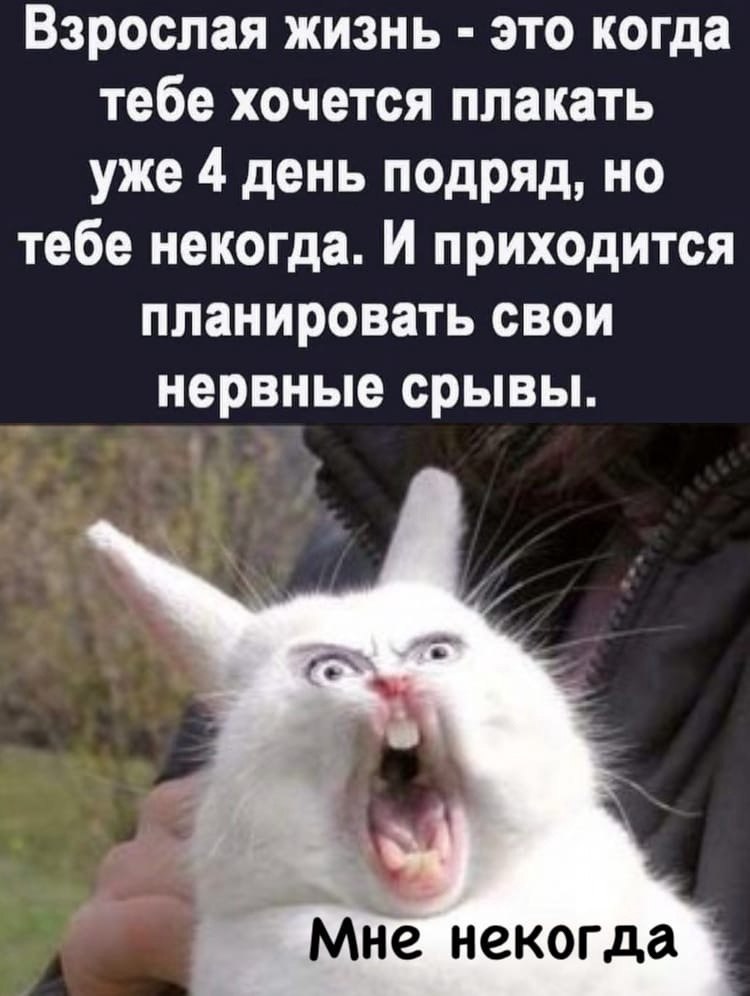 ������� � ���� � ��������.