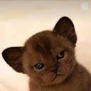 ���� ������, ������, 44 ���� - ��������� 29 ������� 2023