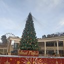 ���� ����, ��������� - ��������� 10 ������ 2026 � ������ ���� ����������