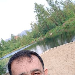 , 55, 