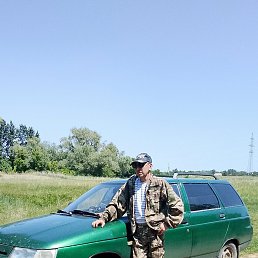 �����, 41 ���, �����������