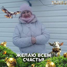 , 66, 