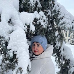 ���� ������, ����, 62 ���� - ��������� 7 ������� 2024