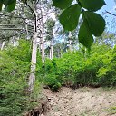 ���� ��������, ��������, 52 ���� - ��������� 13 ���� 2025 � ������ ���� ����������