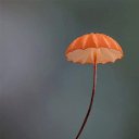 ���� ����, �����-��������� - ��������� 15 ��� 2024 � ������ ���� ����������