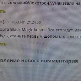 ������, �������, 53 ����