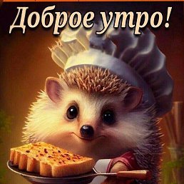 ���� �������, ���������, 44 ���� - ��������� 30 ������ 2023