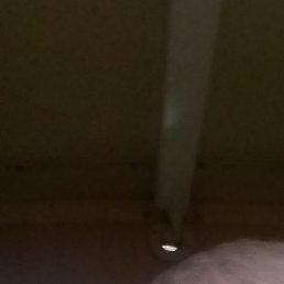 ����������, ���������������, 55 ���