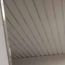 �����, �����, 36 ���