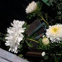 ���� ��������, ������ - ��������� 8 ���� 2026 � ������ �������