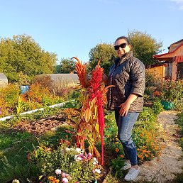 �����, ������ ��������, 36 ���