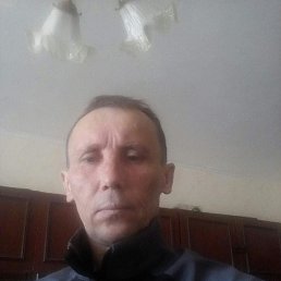 , 52, 