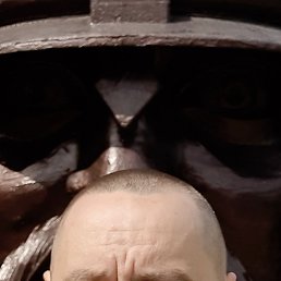, 41, 