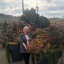 ���� ��������, ���������� - ��������� 14 �������� 2025 � ������ ���� ����������