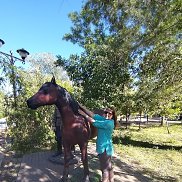 ����, , ����������