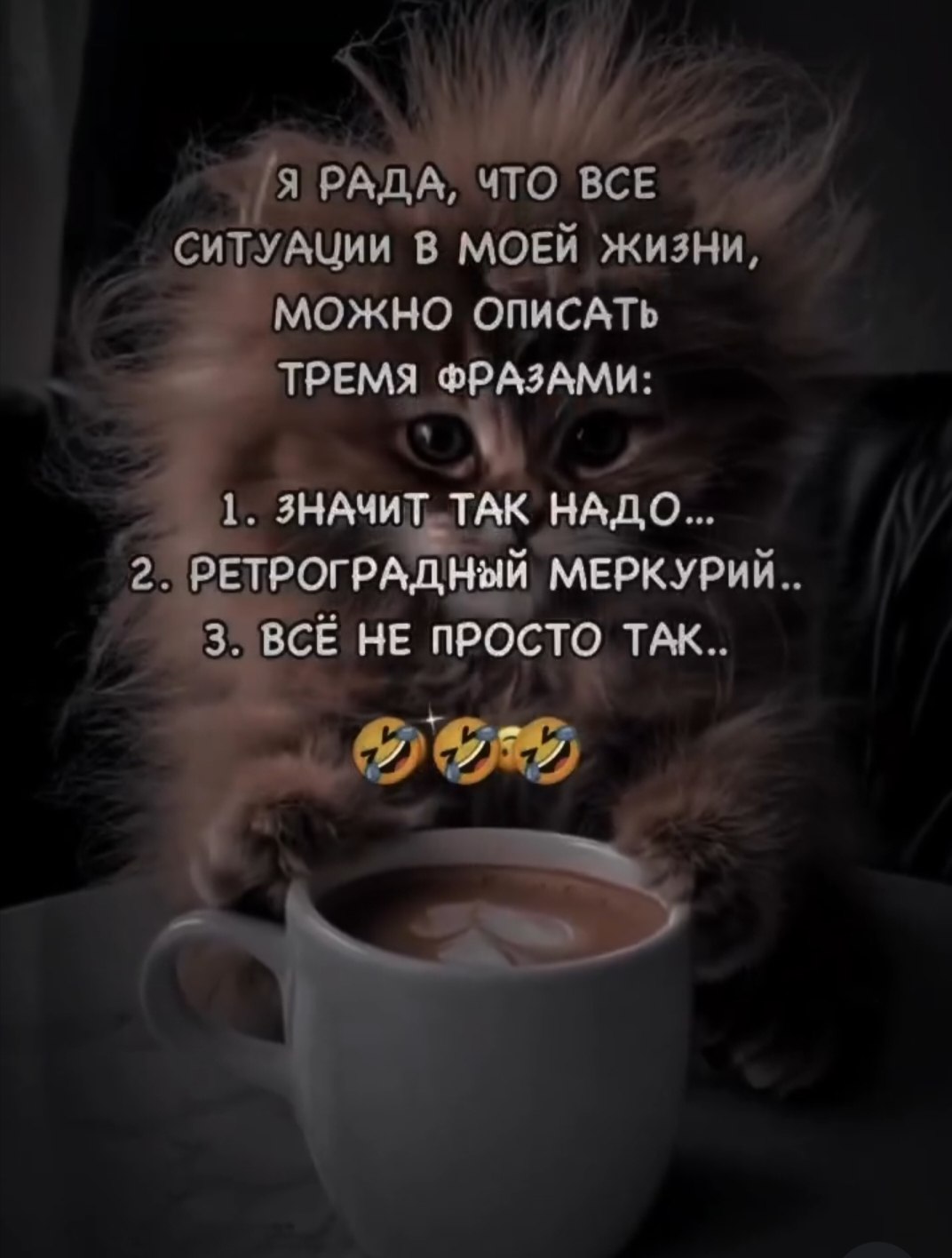 ������ - 8 ������ 2026 � 15:23