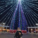 ���� �����, ����� - ��������� 1 ������ 2024 � ������ ���� ����������