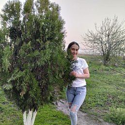 , 42, 