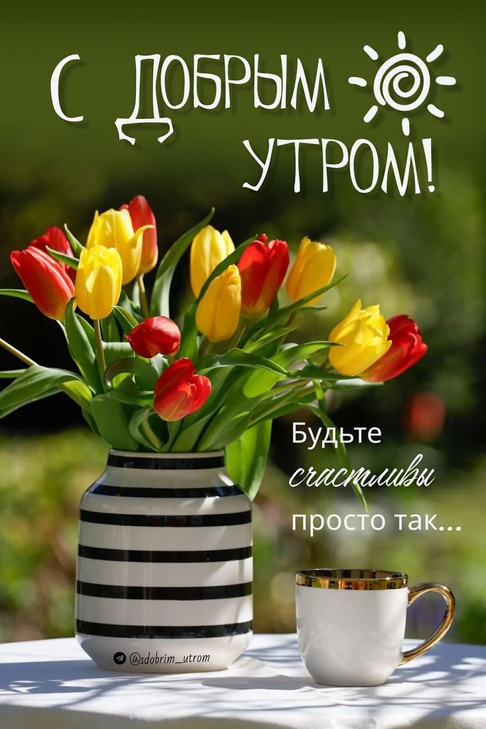  ,    . - 19  2024  21:13 - 4