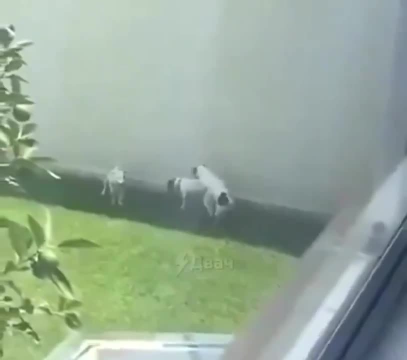 �� ��� ����� ���� ������ ����������!