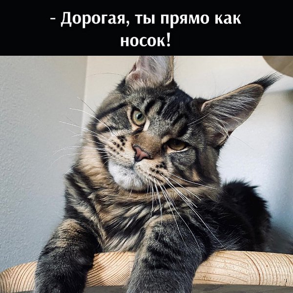 ) - 2