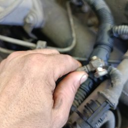 ���� ������, ������-��-����, 48 ��� - ��������� 14 ���� 2026