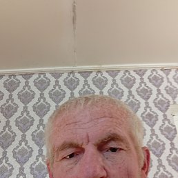 , 64, 