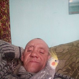 ��������, ���������, 50 ���