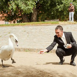 ����, �����-���������, 41 ���