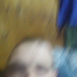 �����, ������, 36 ���