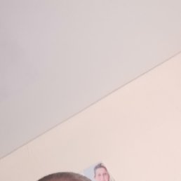 , 40, 