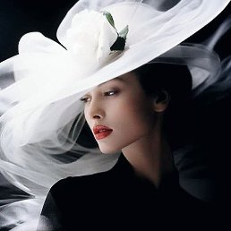 ������, ������, 41 ���