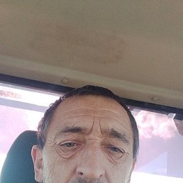 , 44, 