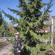 ����, 45 ���, ������