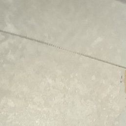 �����, ����, 36 ���