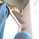 ���� ��������, ������, 40 ��� - ��������� 29 ��� 2024 � ������ ���� ����������
