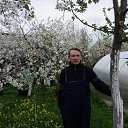 ���� ����, �����, 49 ��� - ��������� 19 ������� 2024 � ������ ������ ��������