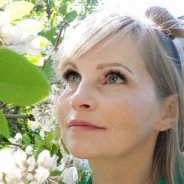 ����, �������, 46 ���