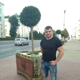 , 37, 