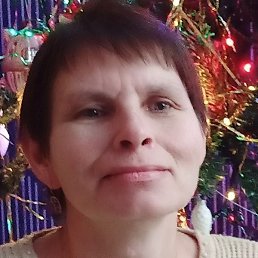 ������, ������, 51 ���